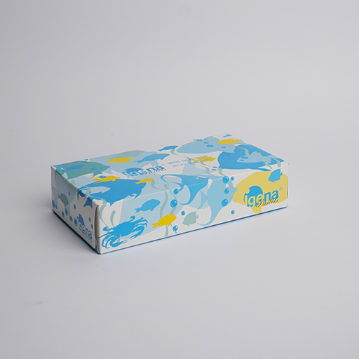 Pastels Facial Tissue Box - 100