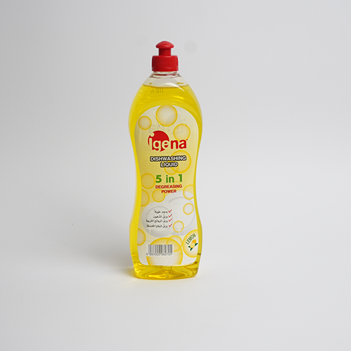 Dishwashing Liquid 700 ML