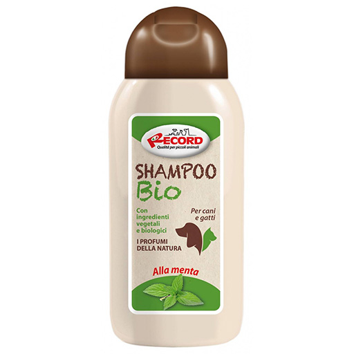 Shampoo Menta