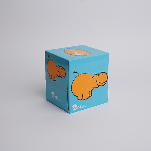 Kids Facial Tissue Box  - 100