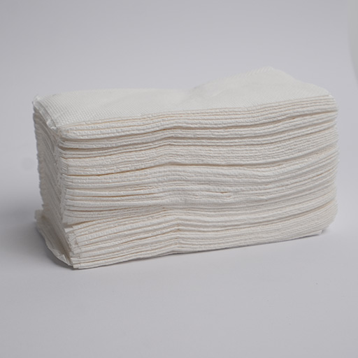 Paper Towel White 2 PLY