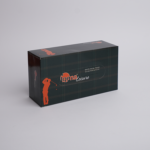 Leisure Facial Tissue Box  - 150
