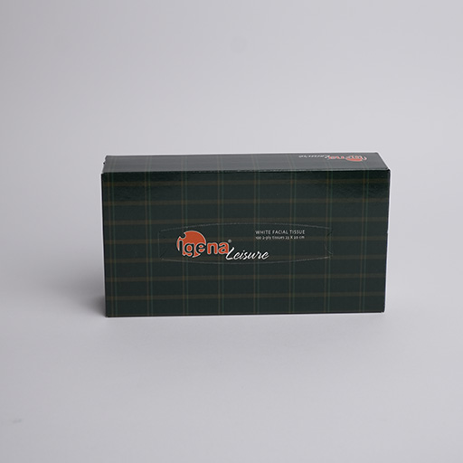 Leisure Facial Tissue Box  - 100