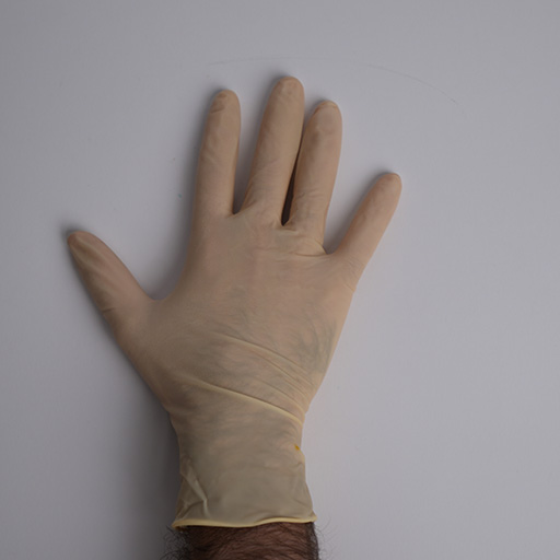 Latex Examination Gloves